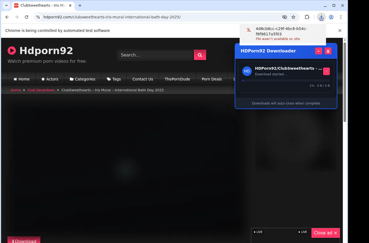 Hdporn92 Video Downloader screenshot 2