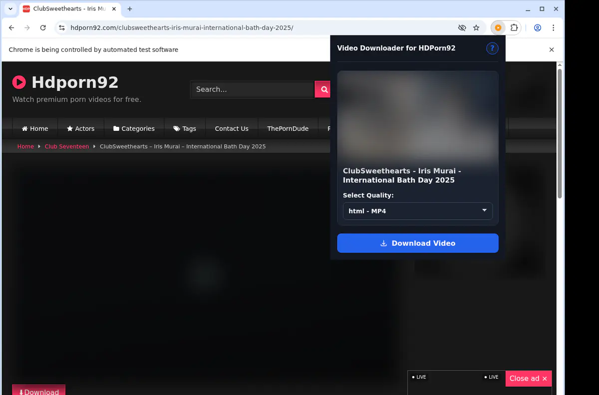 Hdporn92 Video Downloader screenshot 3